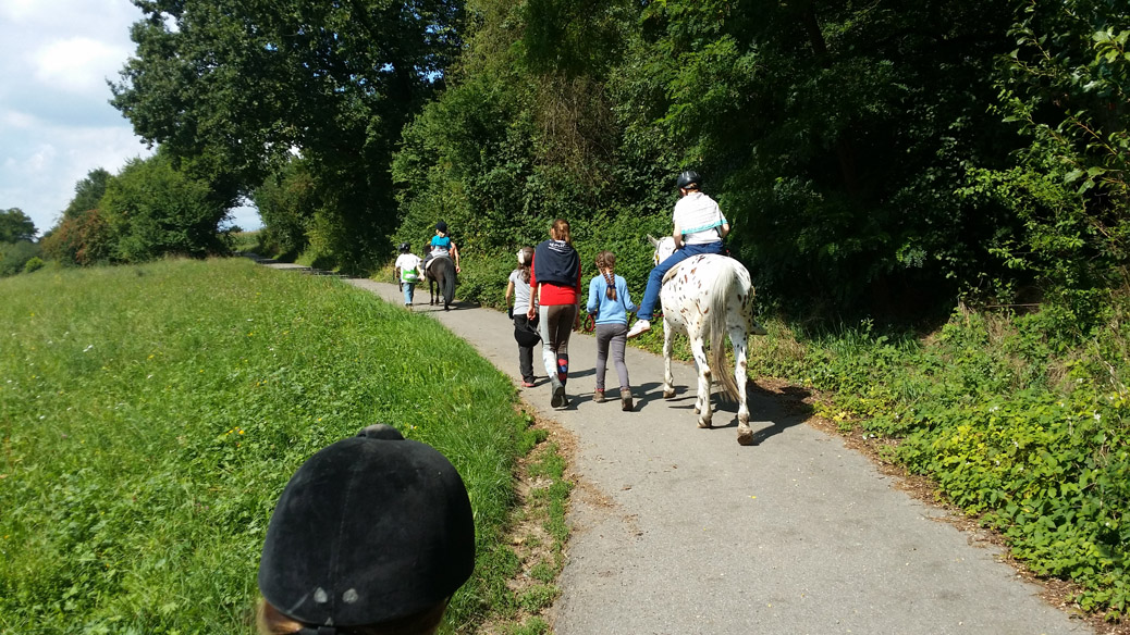 Pferde- und Eselspaziergang